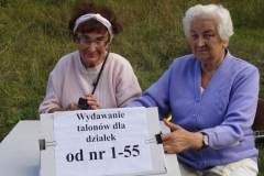 DzD11