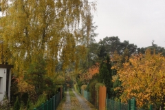 Jesien01