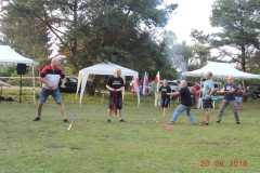 16-ddz_31